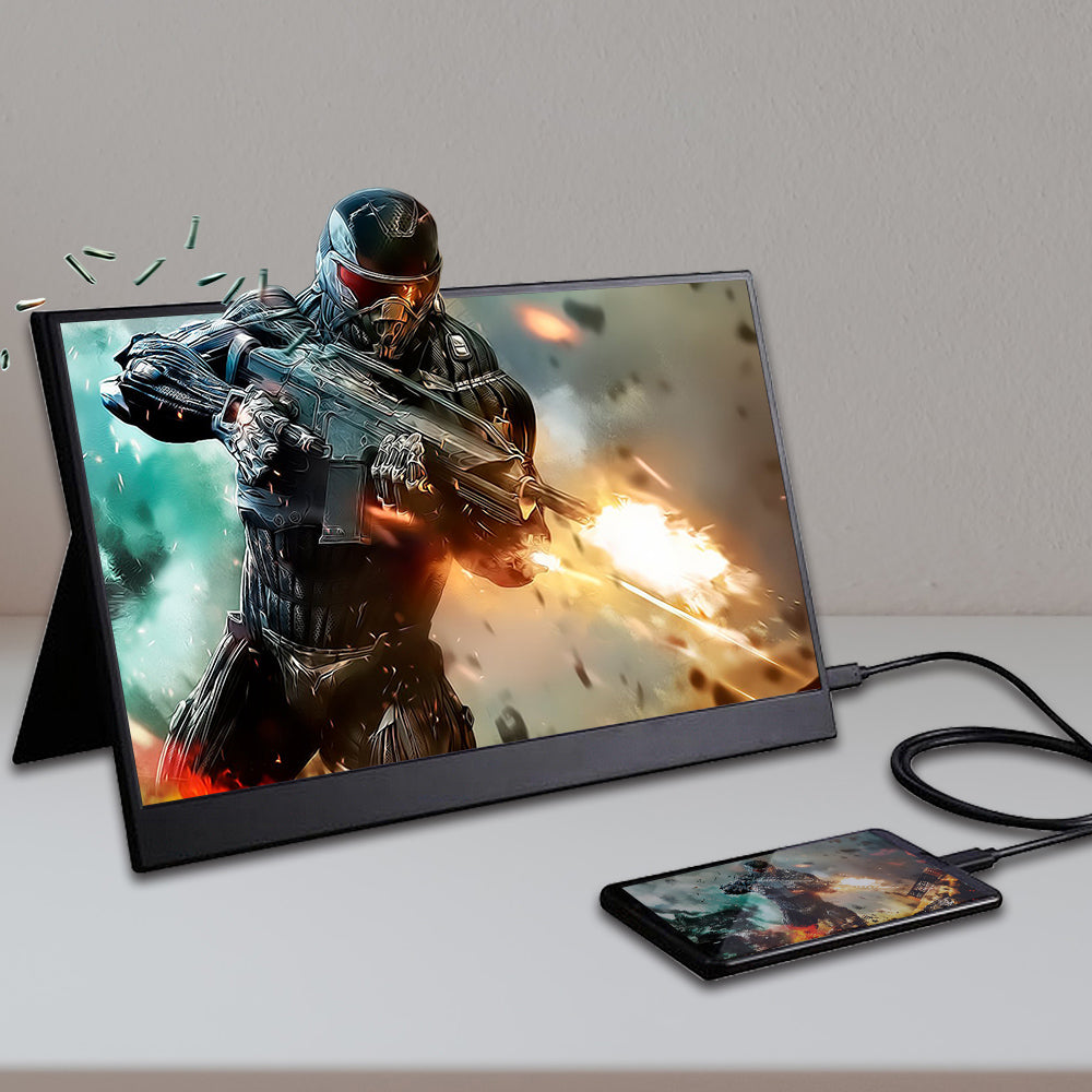 15.6' Portable Monitor (non-touch)
