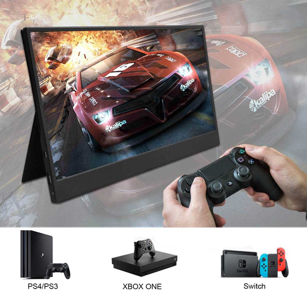 15.6' Portable Monitor (non-touch)
